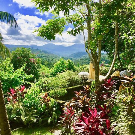 Munduk Gunung Paradis Retreat מראה חיצוני תמונה