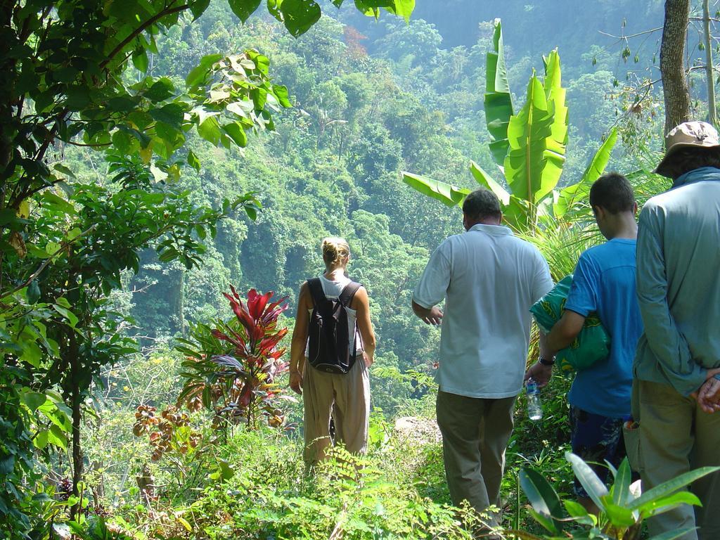 Munduk Gunung Paradis Retreat מראה חיצוני תמונה