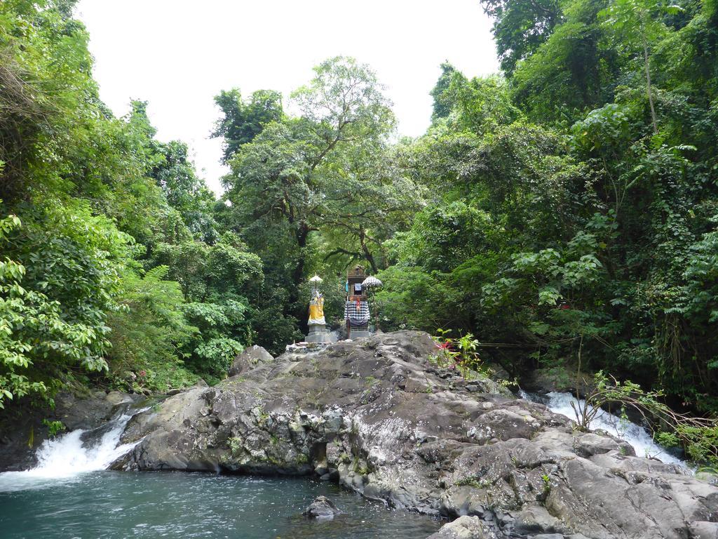 Munduk Gunung Paradis Retreat מראה חיצוני תמונה