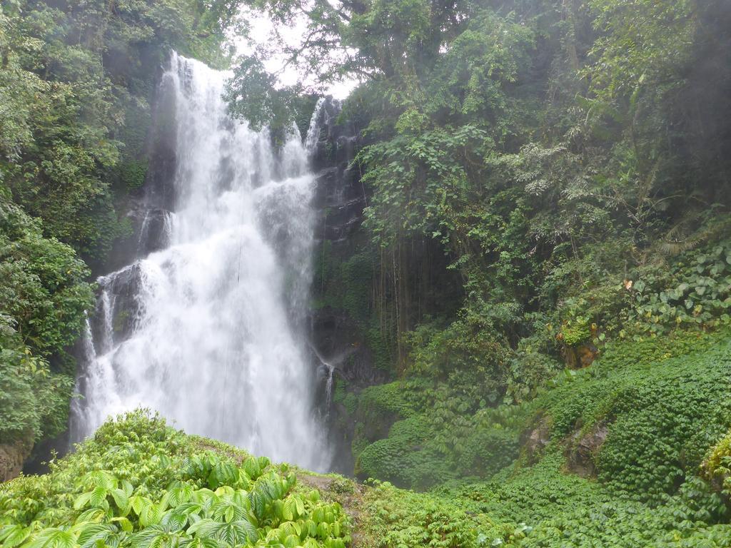 Munduk Gunung Paradis Retreat מראה חיצוני תמונה
