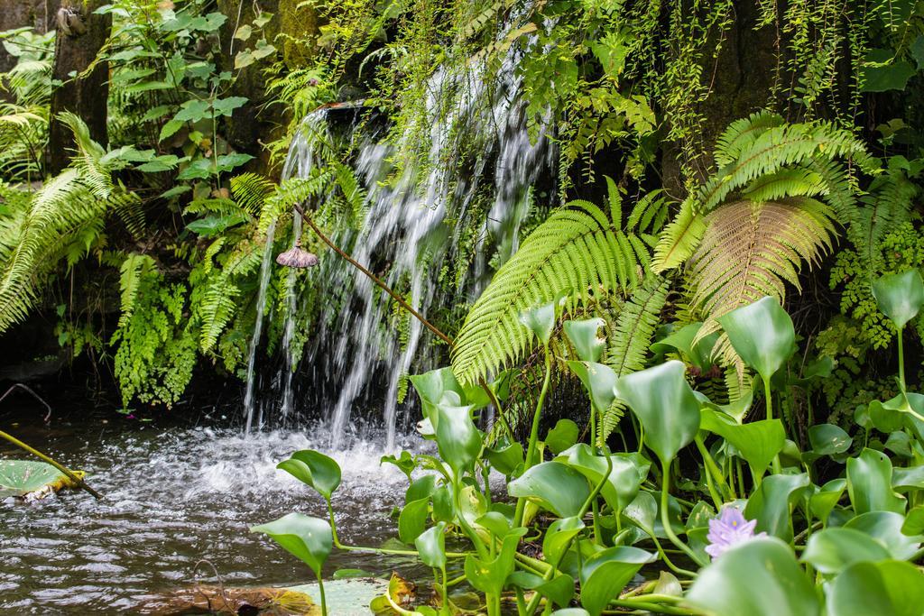 Munduk Gunung Paradis Retreat מראה חיצוני תמונה